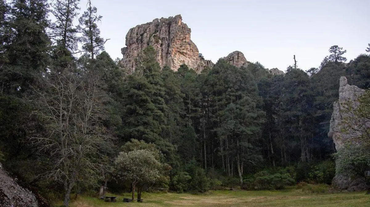 Se inician estudios para proteger a La Bufa como área natural 2